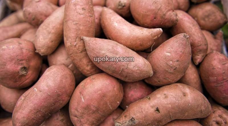 sweet-potatos