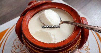 sour yogurt