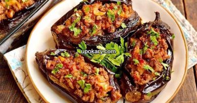 Eggplant dolma