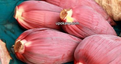 banana flower for woman