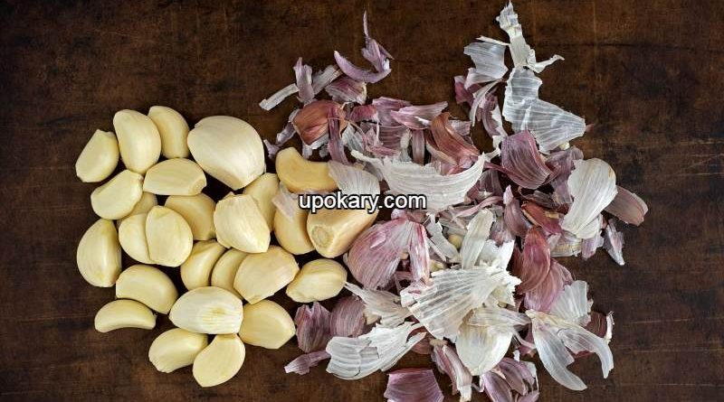 garlic-skin