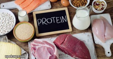body need protein