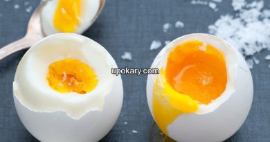 egg