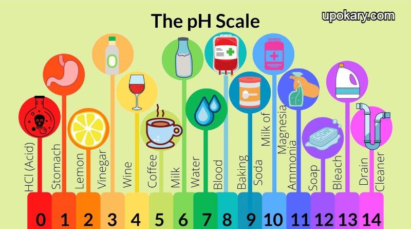pH-Scale