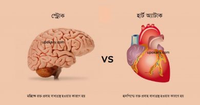 strock vs hartattack