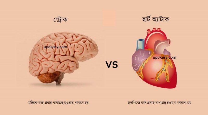 strock vs hartattack