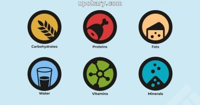 শরীরের জন্য পুষ্টি উপাদান