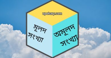 Rational and irrational