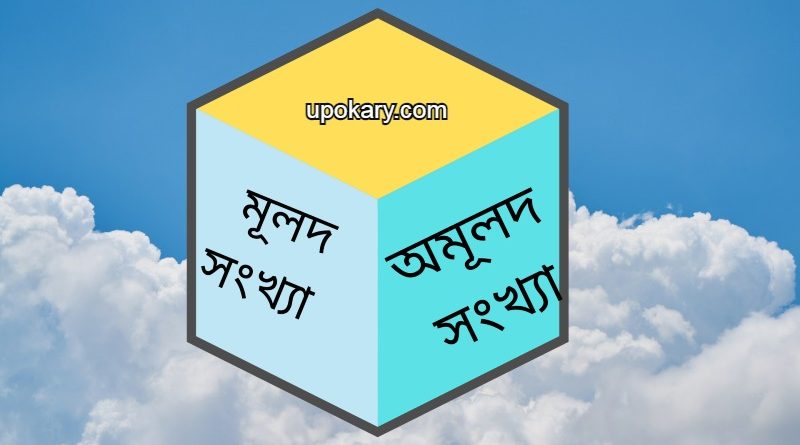 Rational and irrational