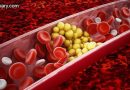 blood_triglycerides