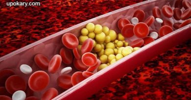 blood_triglycerides