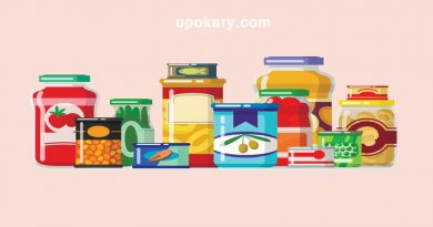 অপচনশীল খাবার।