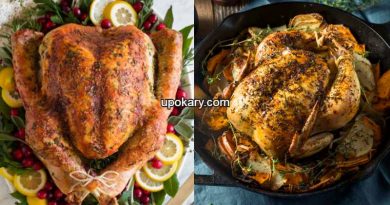 Turkey_chicken