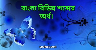 Bangla_word