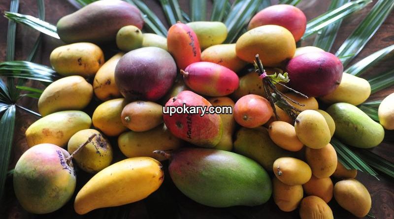 Different_mango