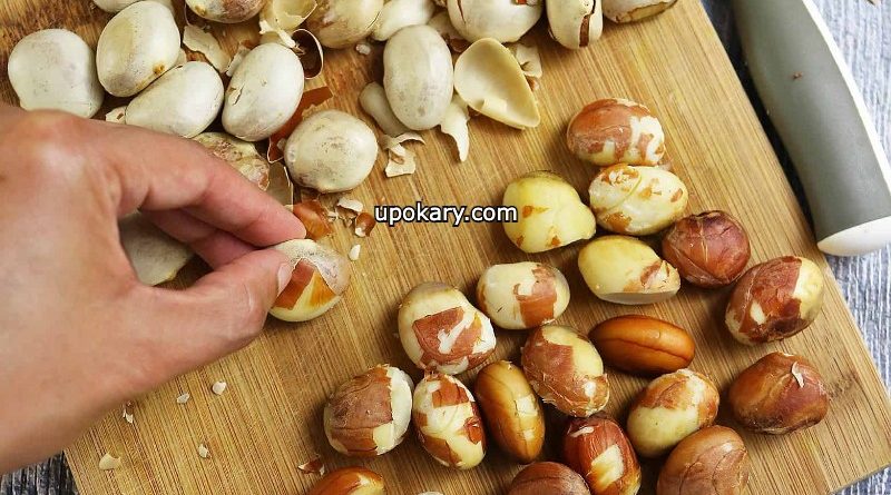 Jackfruit Seeds clean