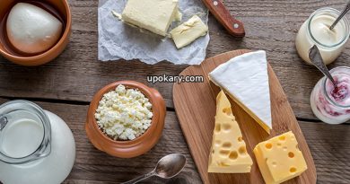 Dairy Foods