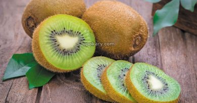 kiwi