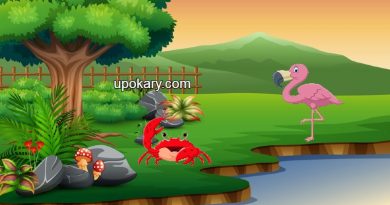 beautiful river story