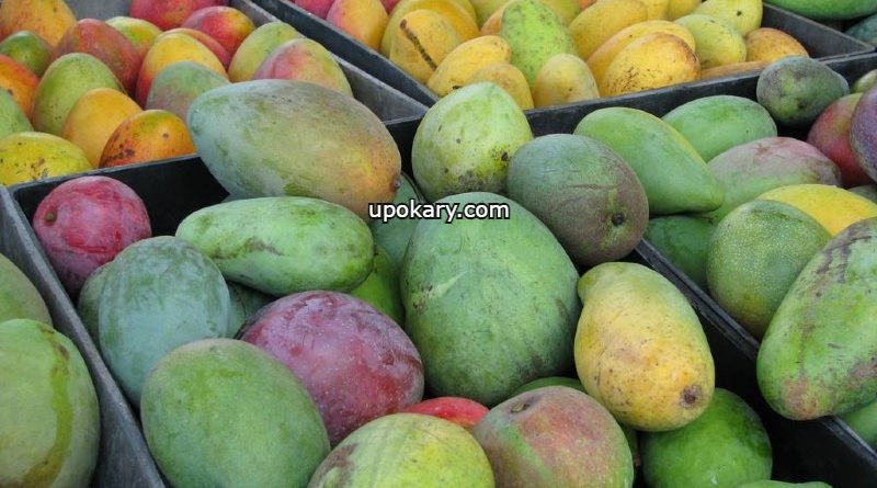 mango post1