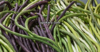 yardlong beans