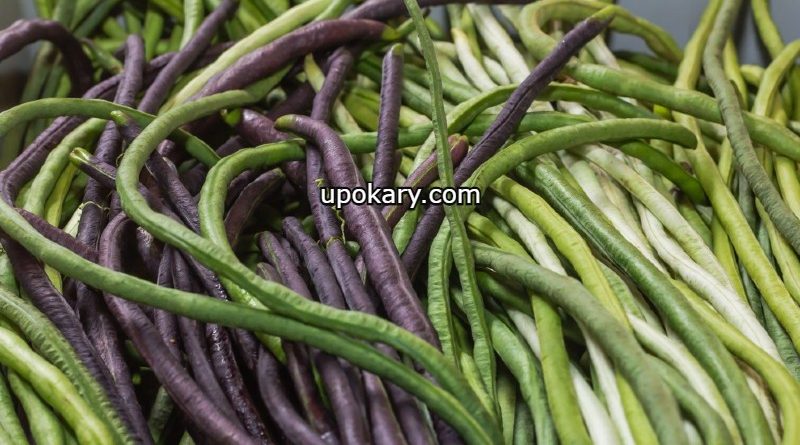 yardlong beans